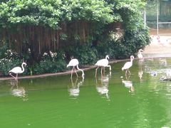 -九龙公园