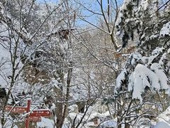 -秦岭终南山世界地质公园翠华山景区