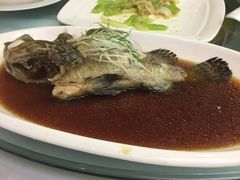 -上海外滩雅致酒店