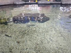 -鸿通城购物中心