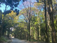 -南靖田螺坑土楼群景区