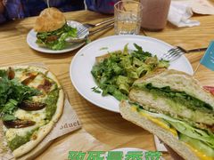-VEGA VEGA 我行我素