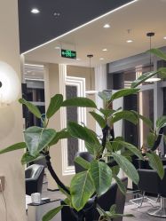 -凯博K-boom Hair Salon