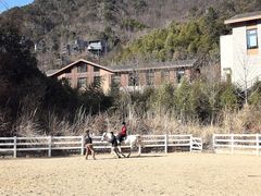 -宁海安岚·南溪阁全日餐厅