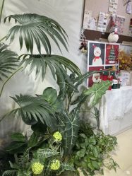 -LEILEI NAIL蕾蕾美甲美睫