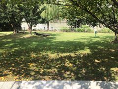 -苏州河梦清园环保主题公园