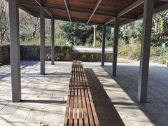 -西湖风景区-江洋畈生态公园