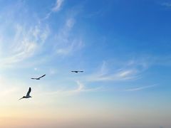 -烟台金沙滩海滨公园