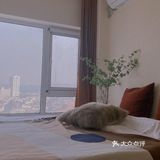 这家青岛洞穴海景民宿太上头‼️ 200块躺看大海