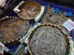 -高佳庄·舟山海鲜(海景旗舰店)