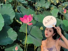 -南戴河国际娱乐中心