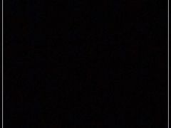 -雅园大酒楼(东门店)