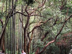 -严子陵钓台(富春江小三峡)