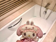 -阳澄湖费尔蒙酒店