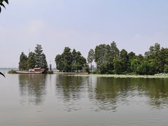 -东湖落雁景区