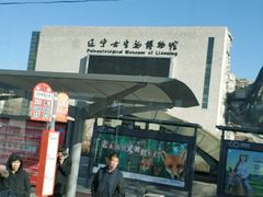 -辽宁古生物博物馆