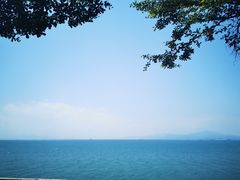 -七鲜渔港美食餐厅(巽寮湾海景店)
