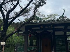 -大雁山风景区