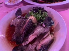 老虎斑-旗鱼海番村(Orang Asli)