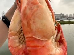 -七的湖·江南蟹舫·阳澄湖农家菜(蟹舫苑店)