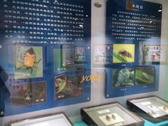 -上海昆虫博物馆