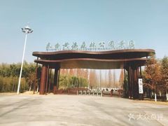 -黄海国家森林公园