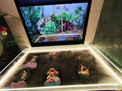 -芸山季·云南山珍菌火锅(南翔印象城MEGA店)