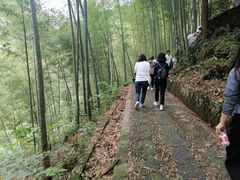 -白云源风景区