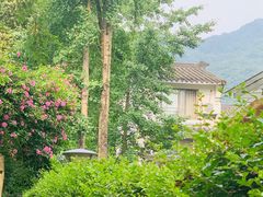 -青城山