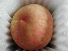 -南汇水蜜桃采摘(大团店)