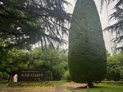 -宋庆龄陵园