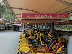 -合肥滨湖国家森林公园