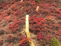 -水峪民俗村
