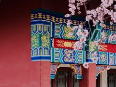 -桃花堤公园