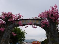 -天适樱花悠乐园