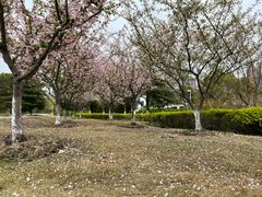 -白塘生态植物园
