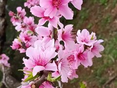 -万达广场(金堂店)