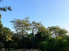 -文华公园(禅城区)