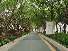 -白鹭洲公园