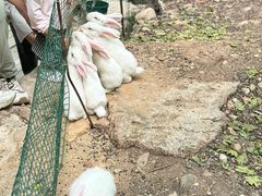 -本溪汤沟绿石谷森林公园