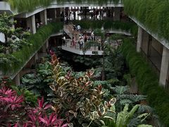 -广州白天鹅宾馆