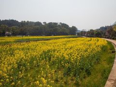 -韶山毛泽东同志故居