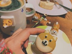 -柴务处·柴犬主题狗咖