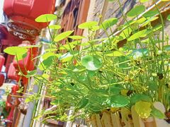 -东关街美食广场