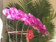 -茶花妹子云南餐厅(传媒大学店)