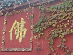 -龙抄手(文殊坊店)