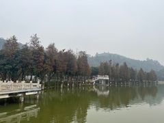 -顺峰山公园