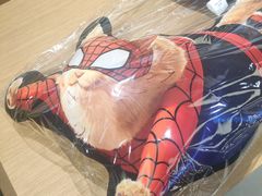 -Sony Store索尼(广州正佳店)