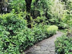 -重庆平顶山公园