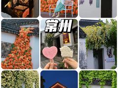 -青果巷历史文化街区